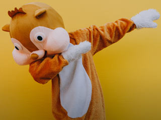 Fatos de carnaval de mascotes e animais