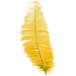 Pena Amarela 35 a 45cm