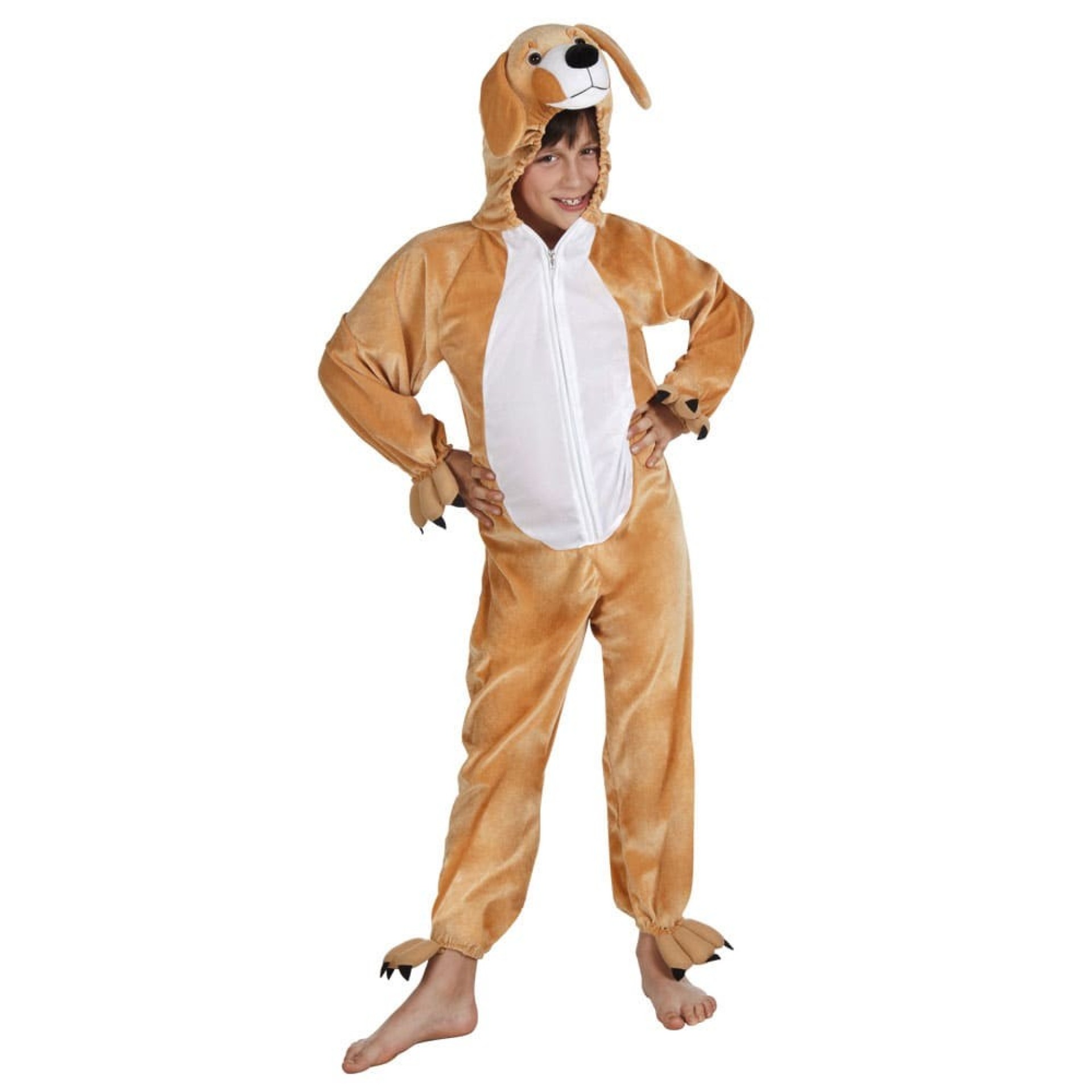 Fato de Cão Divertido