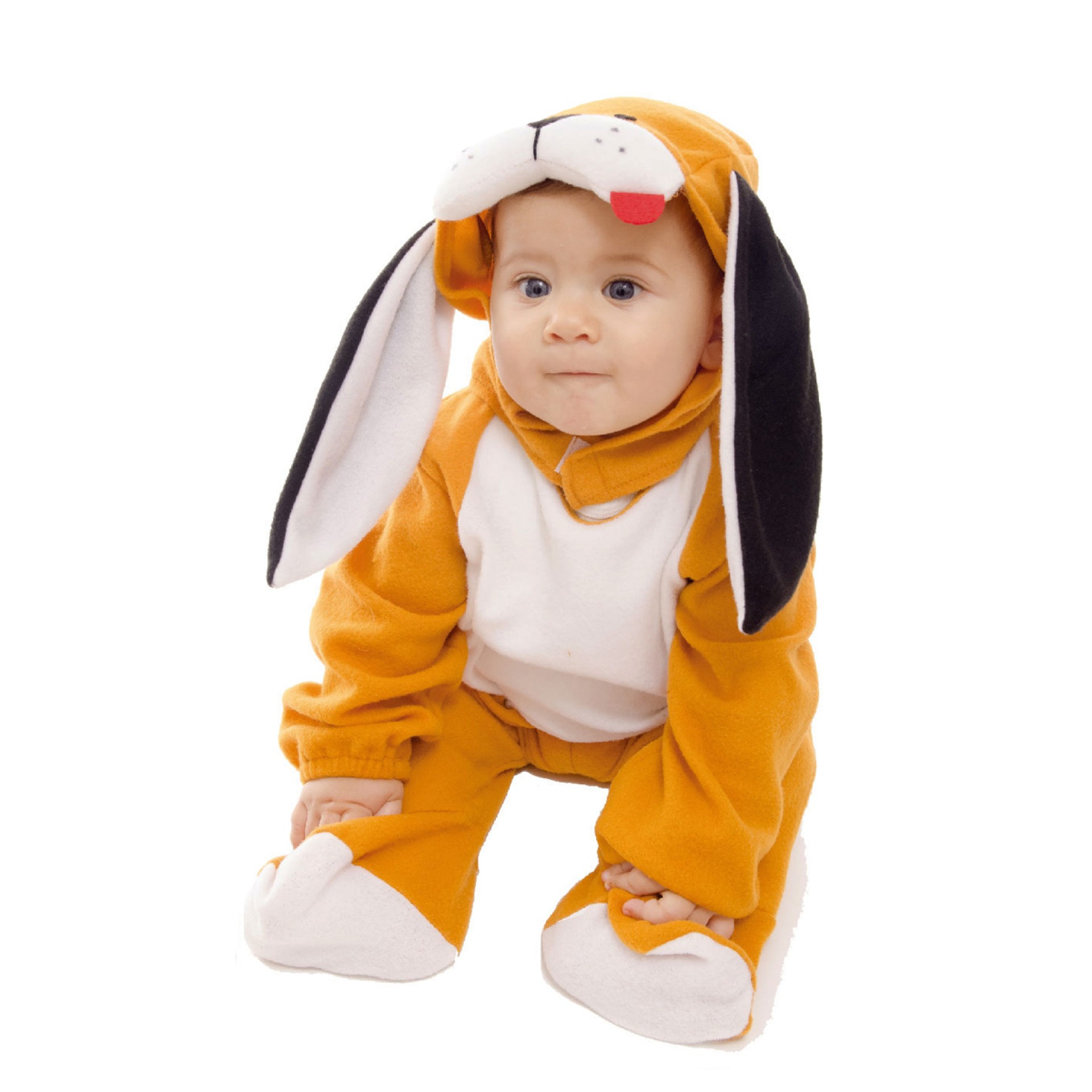 Fato Cão Fofinho Bebé