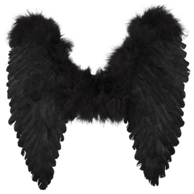 Asas Penas Pretas 50 x 50cm Asas Penas Pretas 50 x 50cm