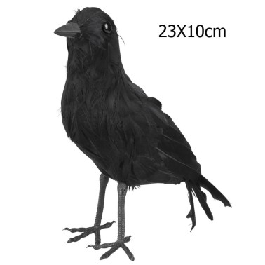 Corvo Negro 23cm