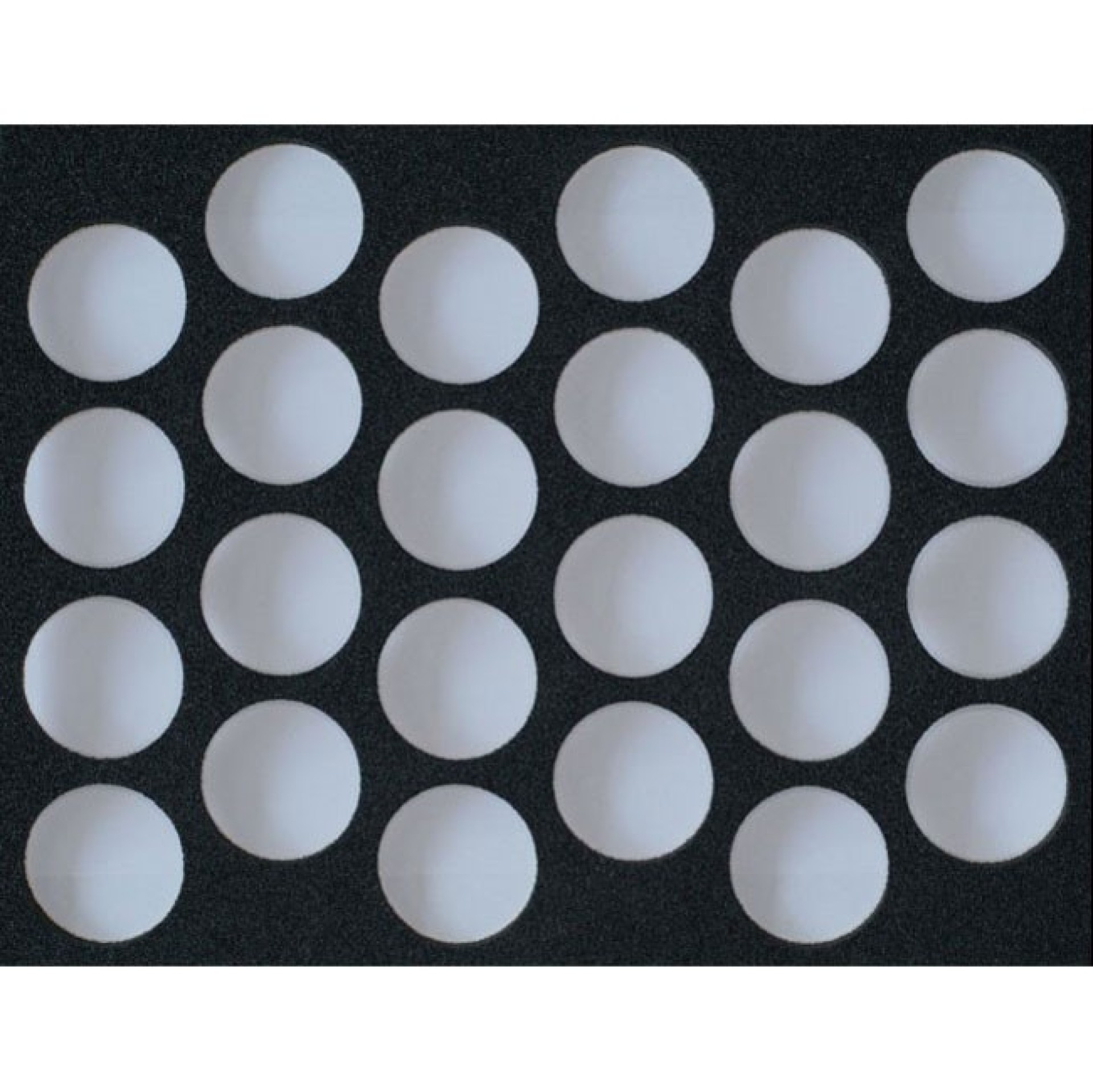 Esponja para 24 Boiões de 16gr