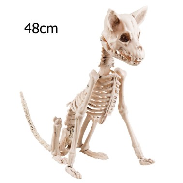 Esqueleto Cachorro 48cm