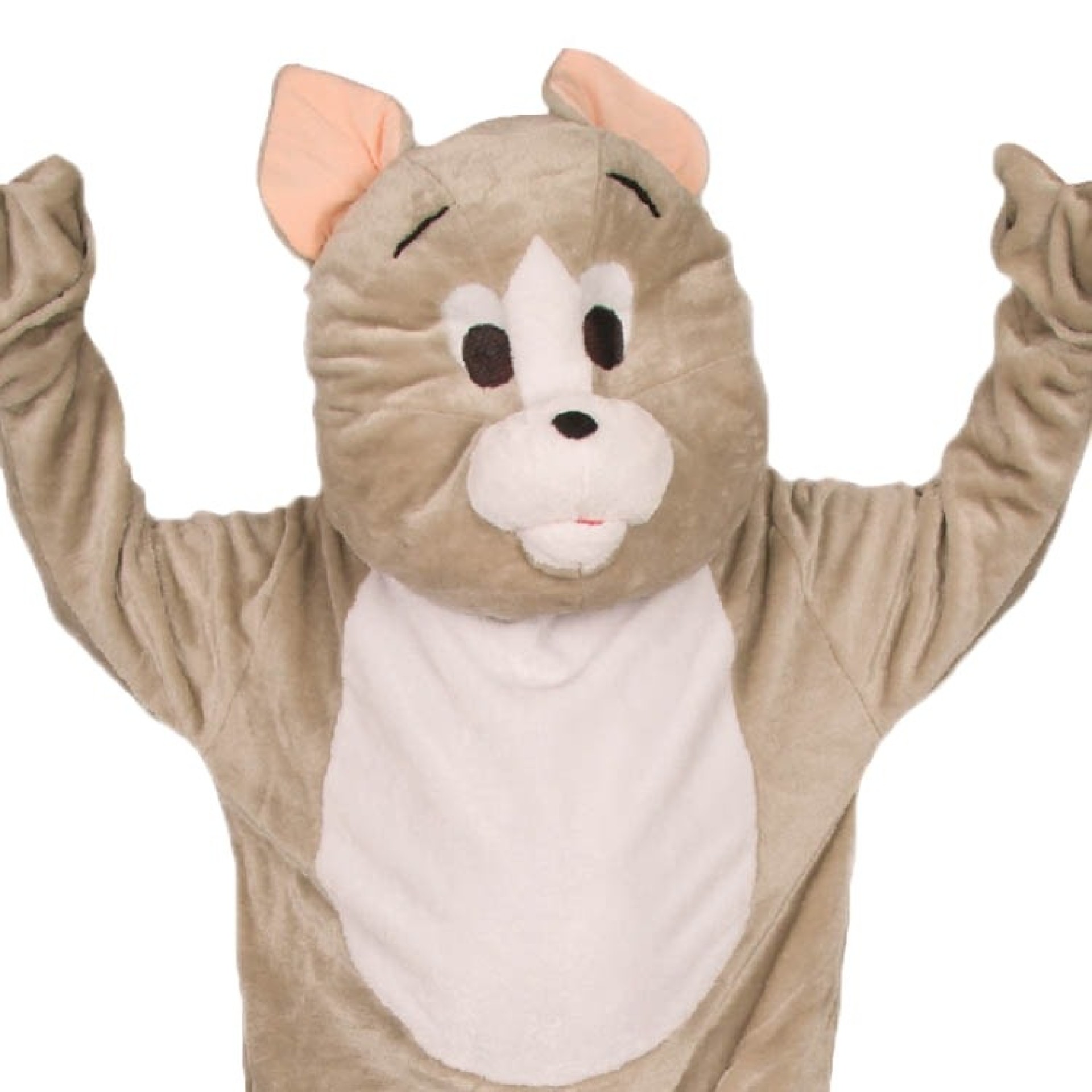 Fato Gato Simpático