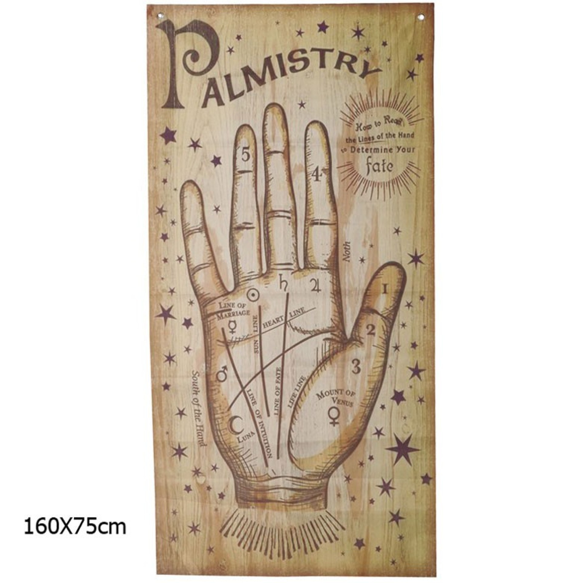 Cartaz Leitura da Sina