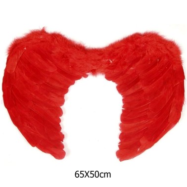 Asas de Penas Vermelhas 65X50CM
