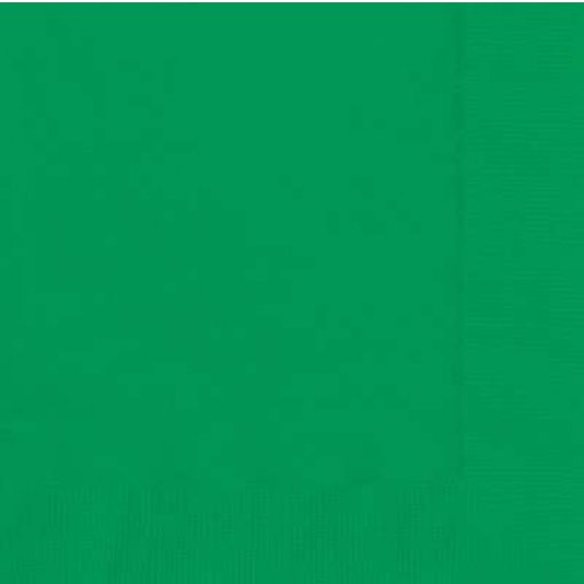 Guardanapos Verde Escuro 20Unid