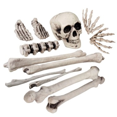 Ossos de Esqueleto