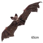 Morcego Castanho Halloween