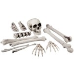Ossos de Esqueleto