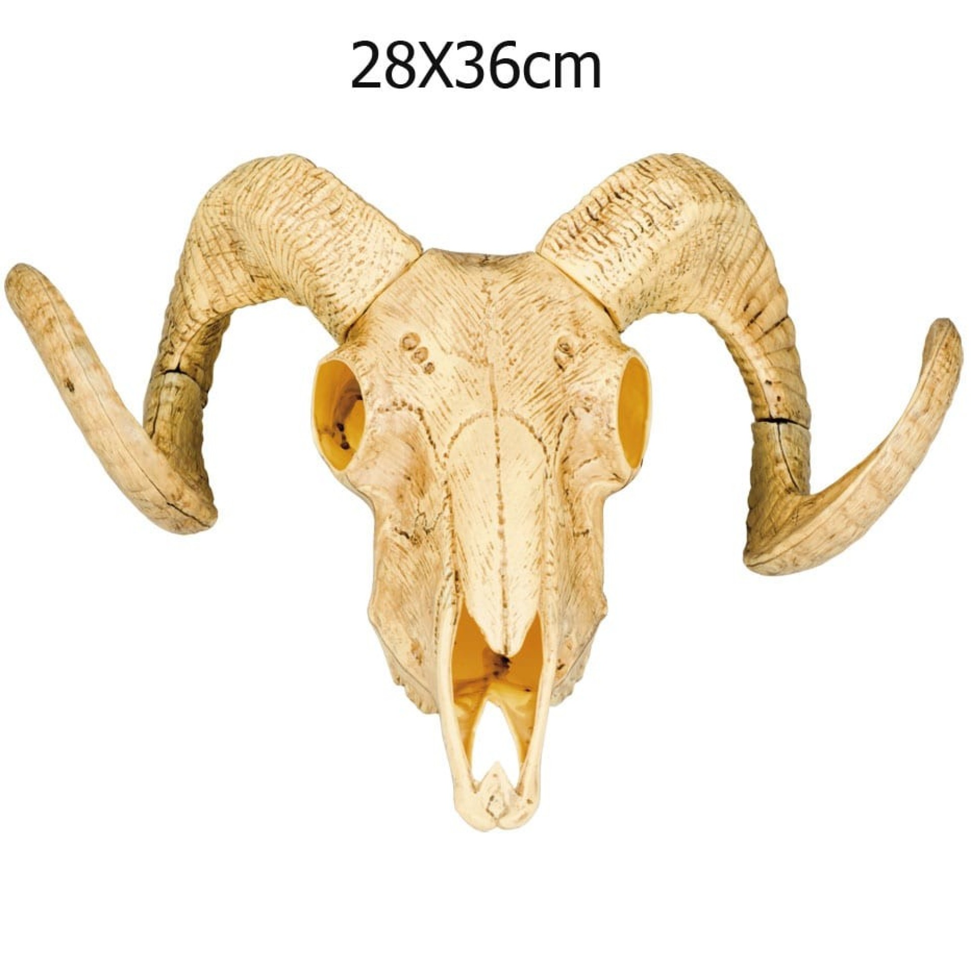 Caveira Texas Western