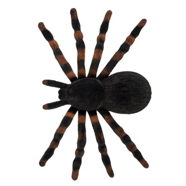 Tarantula Pack de 4 Tarantula Pack de 4