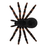 Tarantula Pack de 4