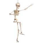 Esqueleto Articulado 50cm