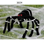 Aranha Negra Listada 30cm