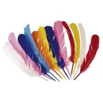 Penas coloridas 30cm Pack de 12