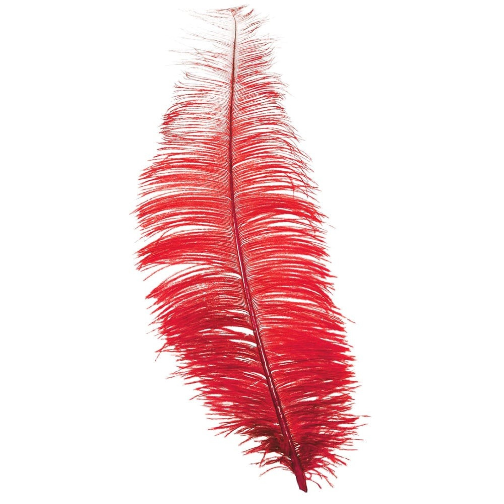 Pena Vermelha 35 a 45 cm.