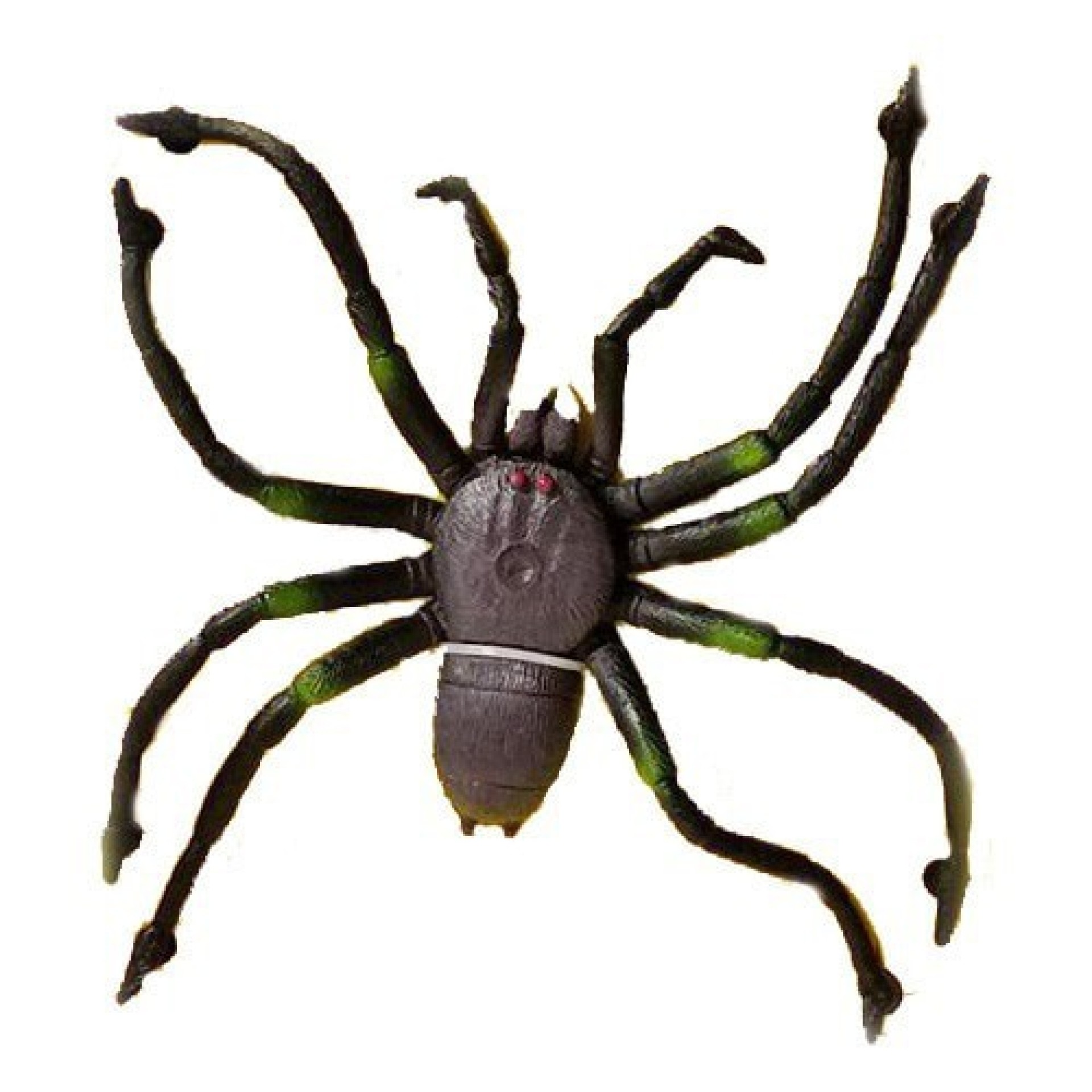 Aranha de Borracha com Ventosas