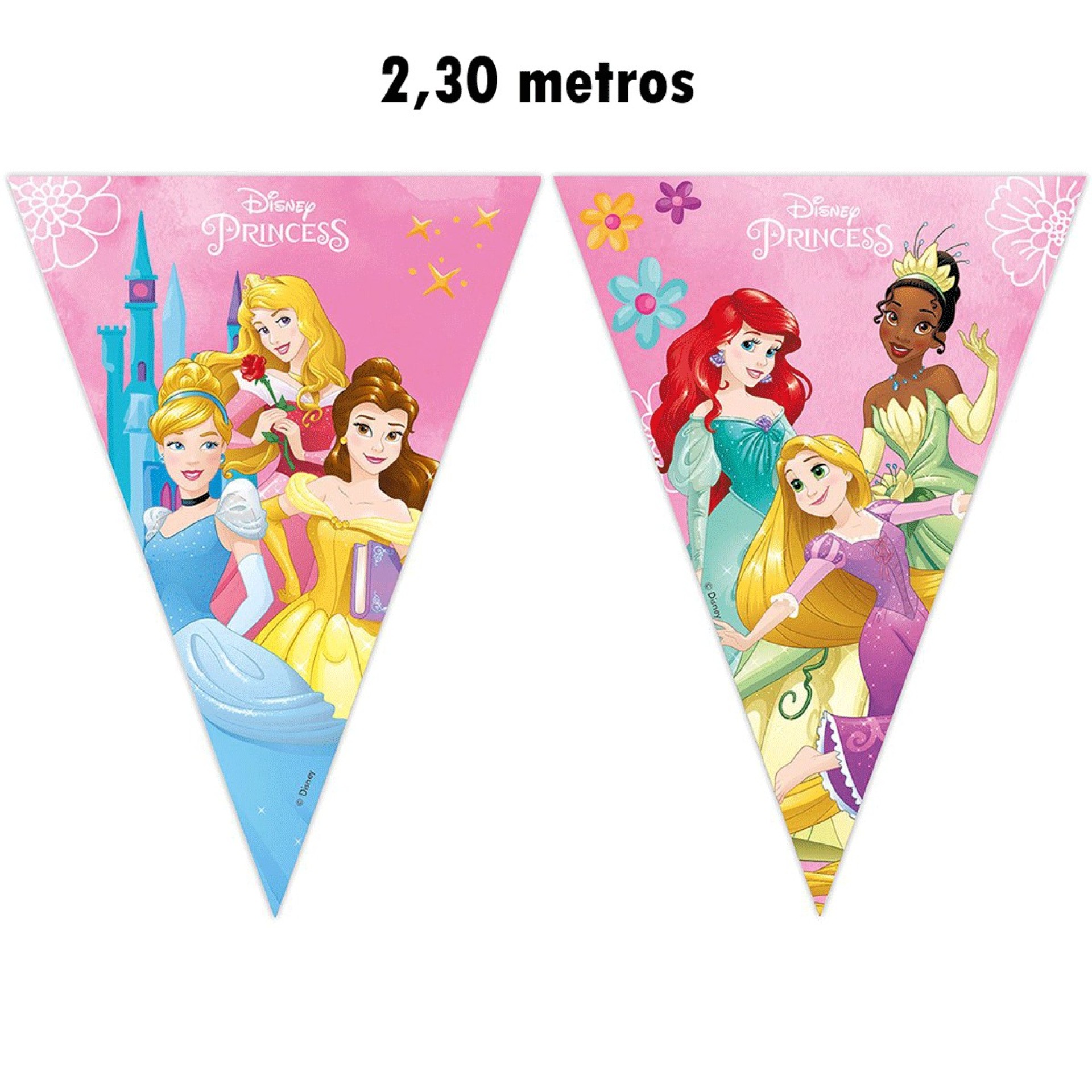 Bandeirolas Princesas Disney 2,30m