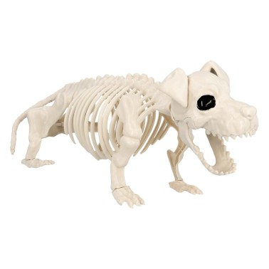 Esqueleto Cachorro Halloween 52cm Esqueleto Cachorro Halloween 52cm