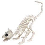 Esqueleto de Gato