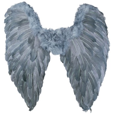 Asas Penas Cinzentas