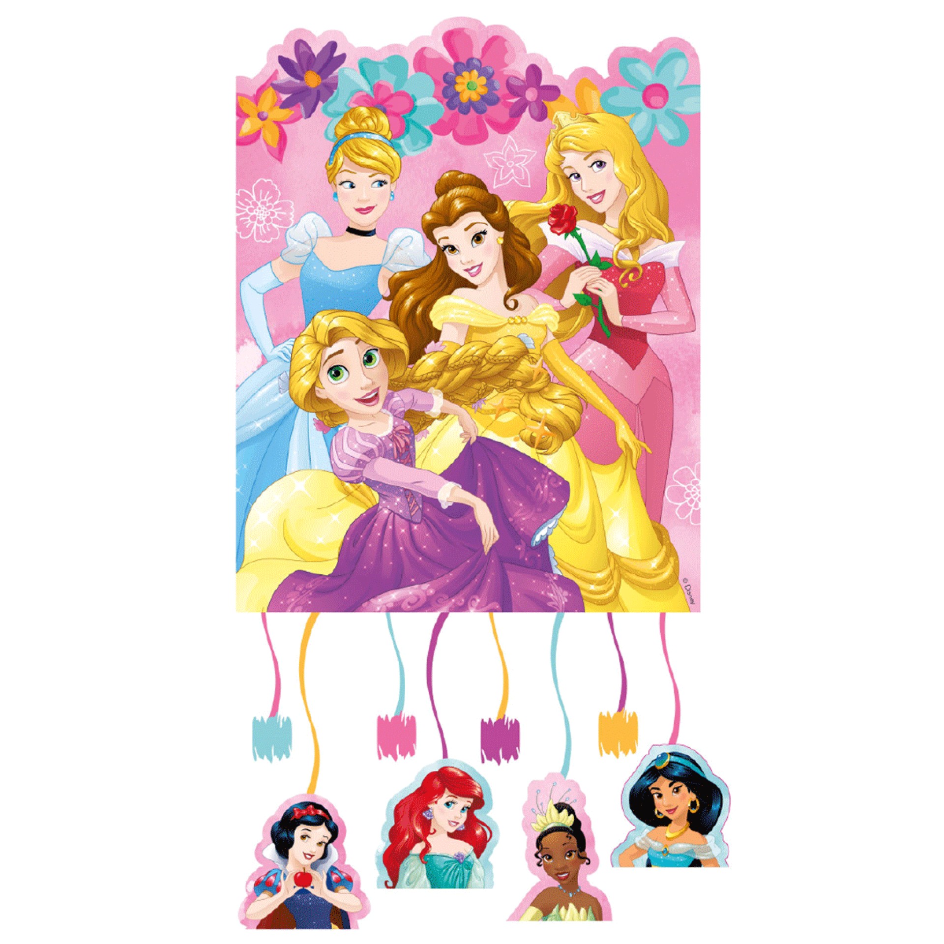Pinhata Disney Princesas