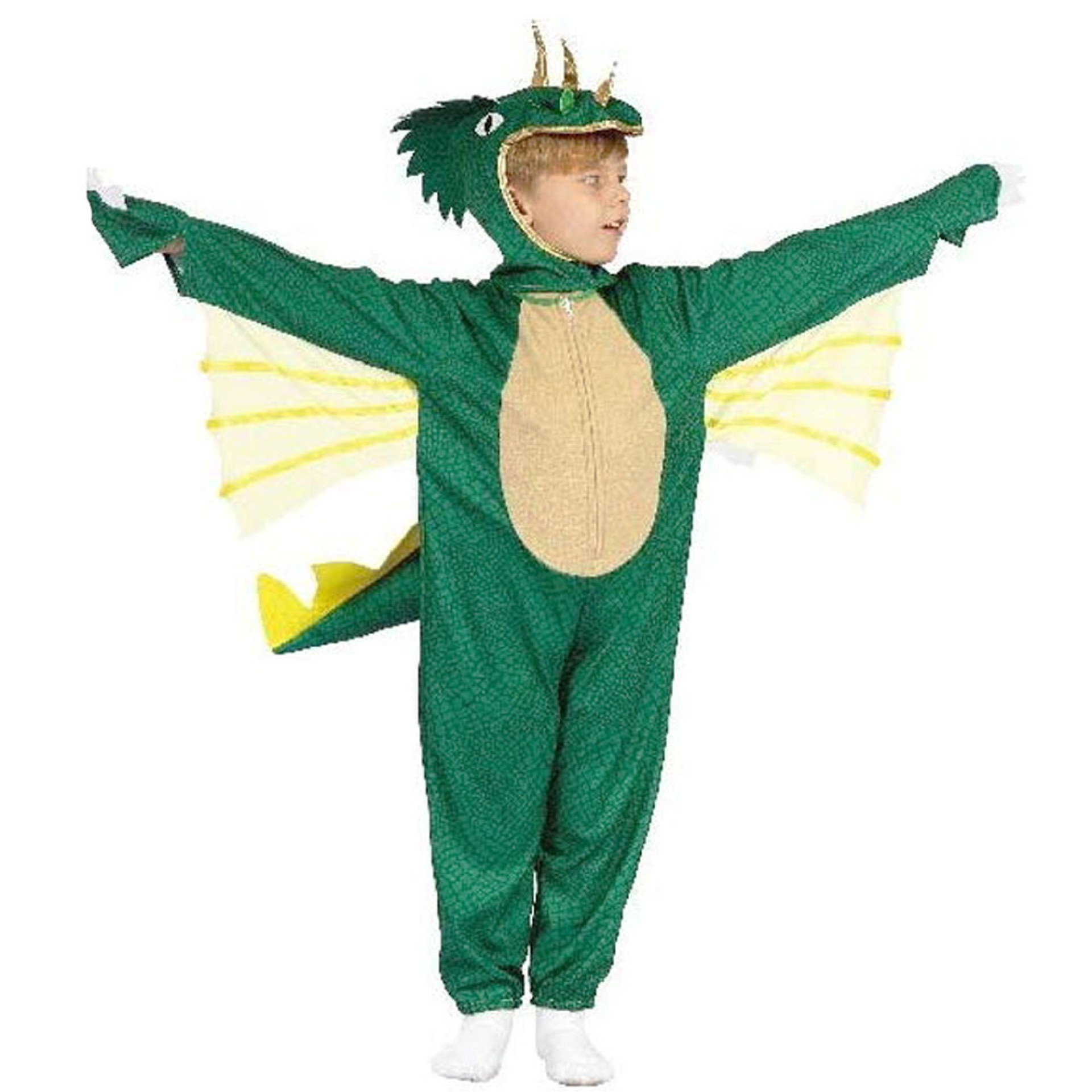 Fato Dinossauro com Asas