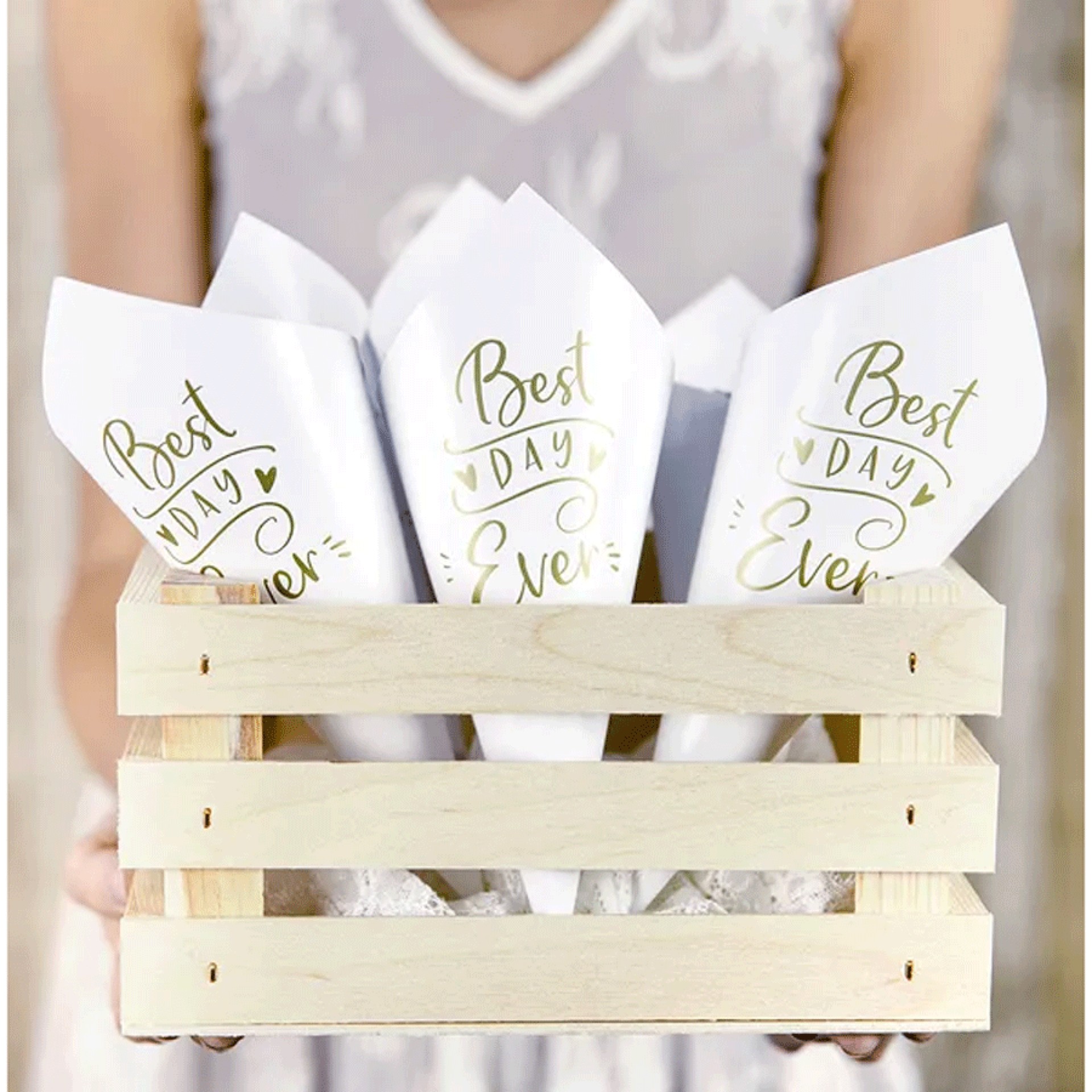 Cones Para Confettis 10 Unid