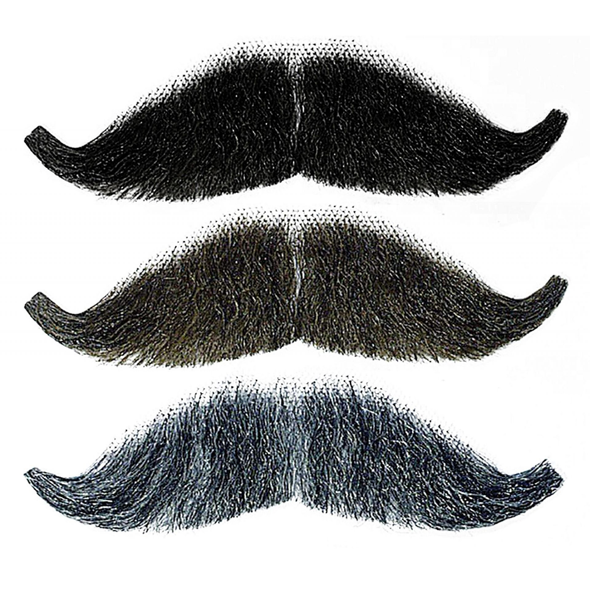 Bigodes Achatados Qualidade PROF