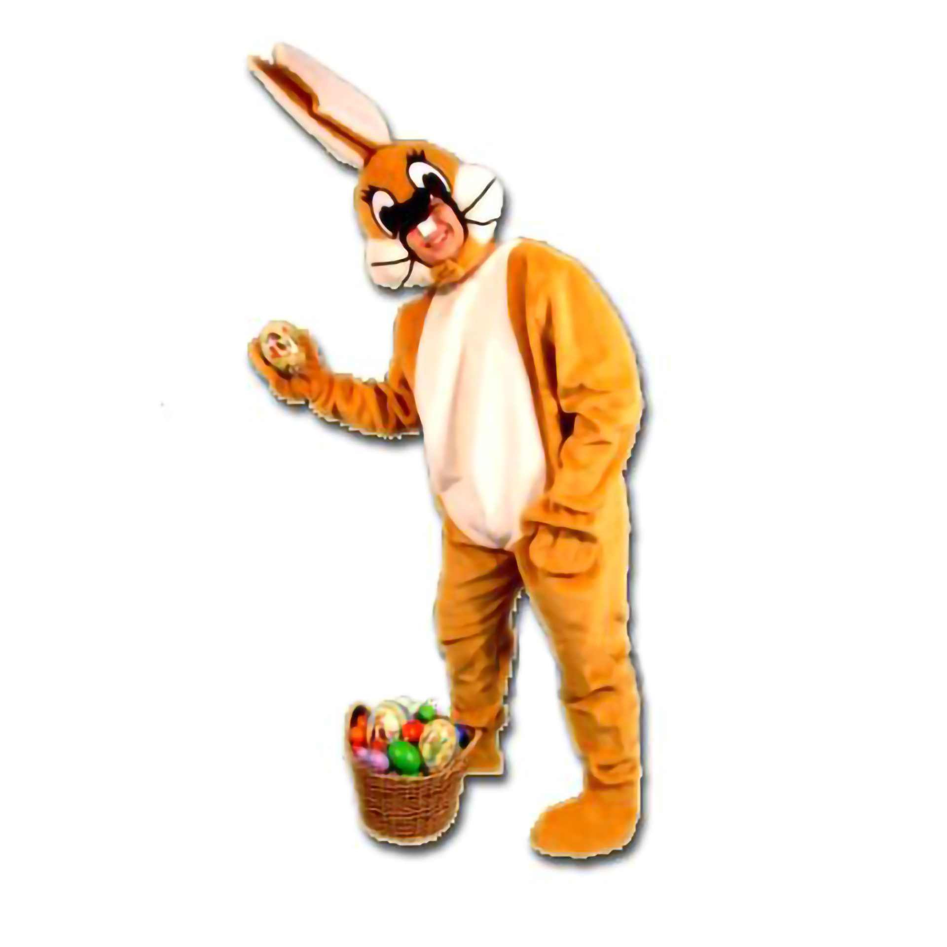 Fato Coelho Castanho