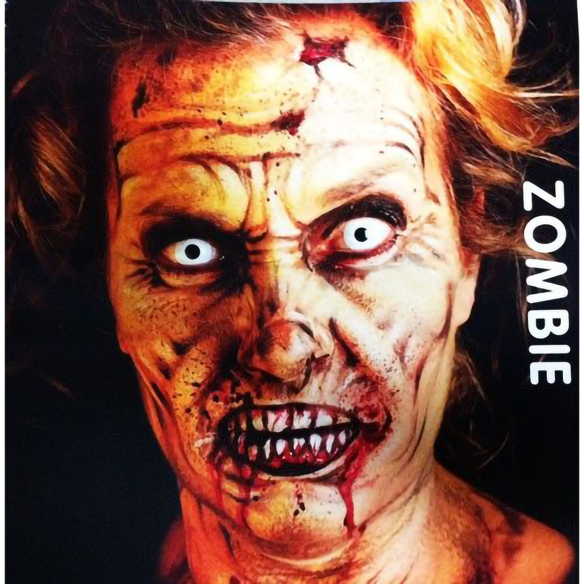 Livro Pinturas Faciais Halloween