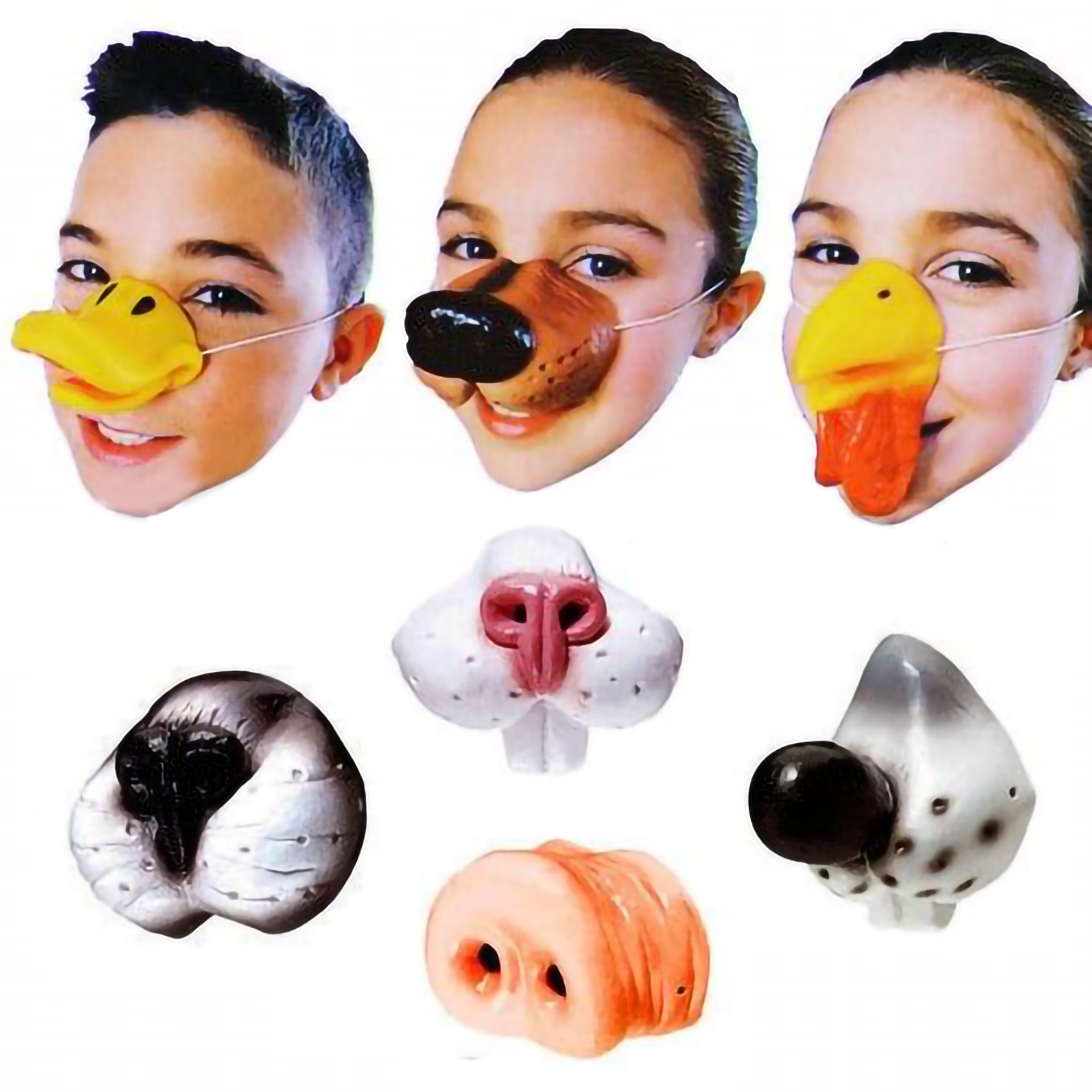 Nariz de Animal  Vários