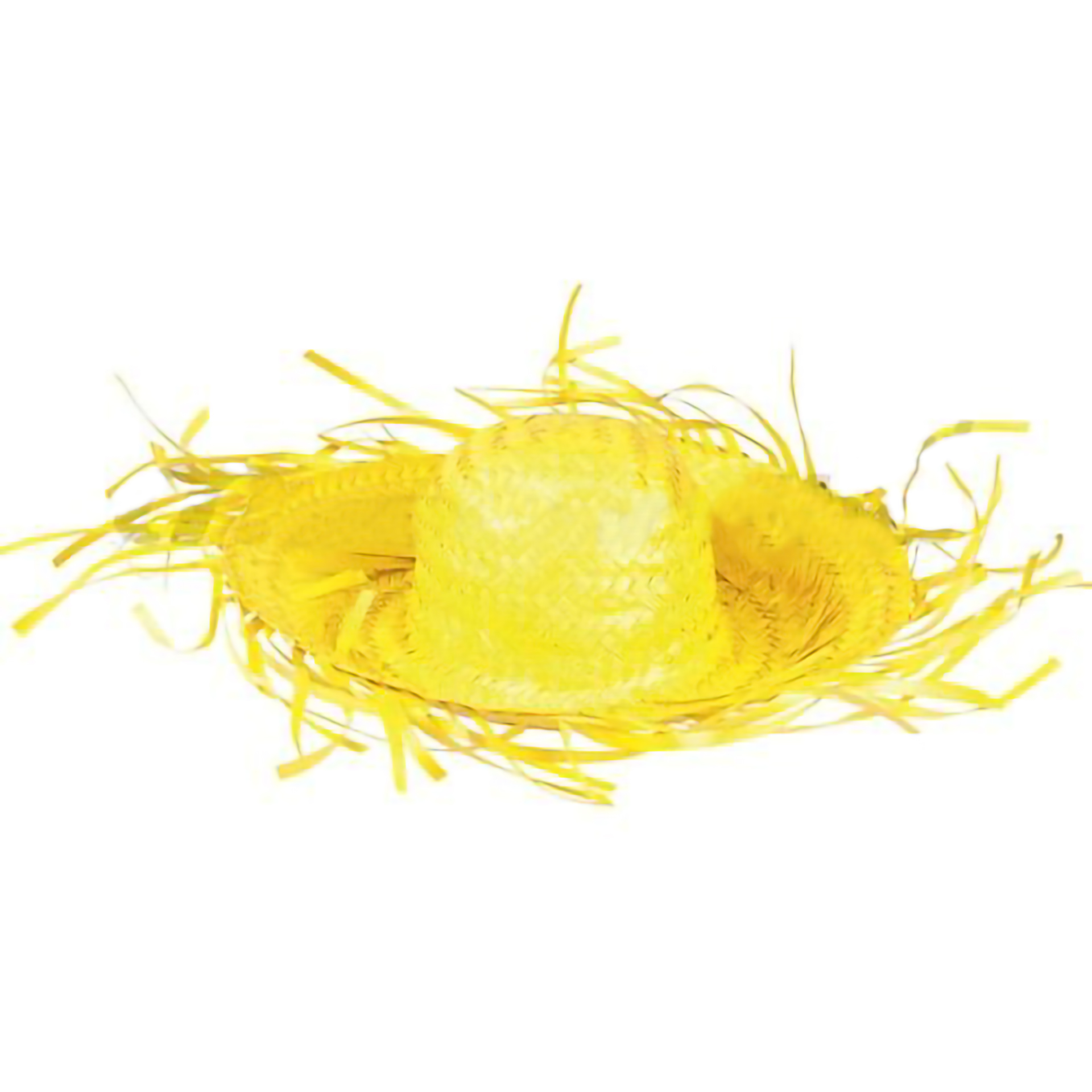 Chapéu de palha Tropical