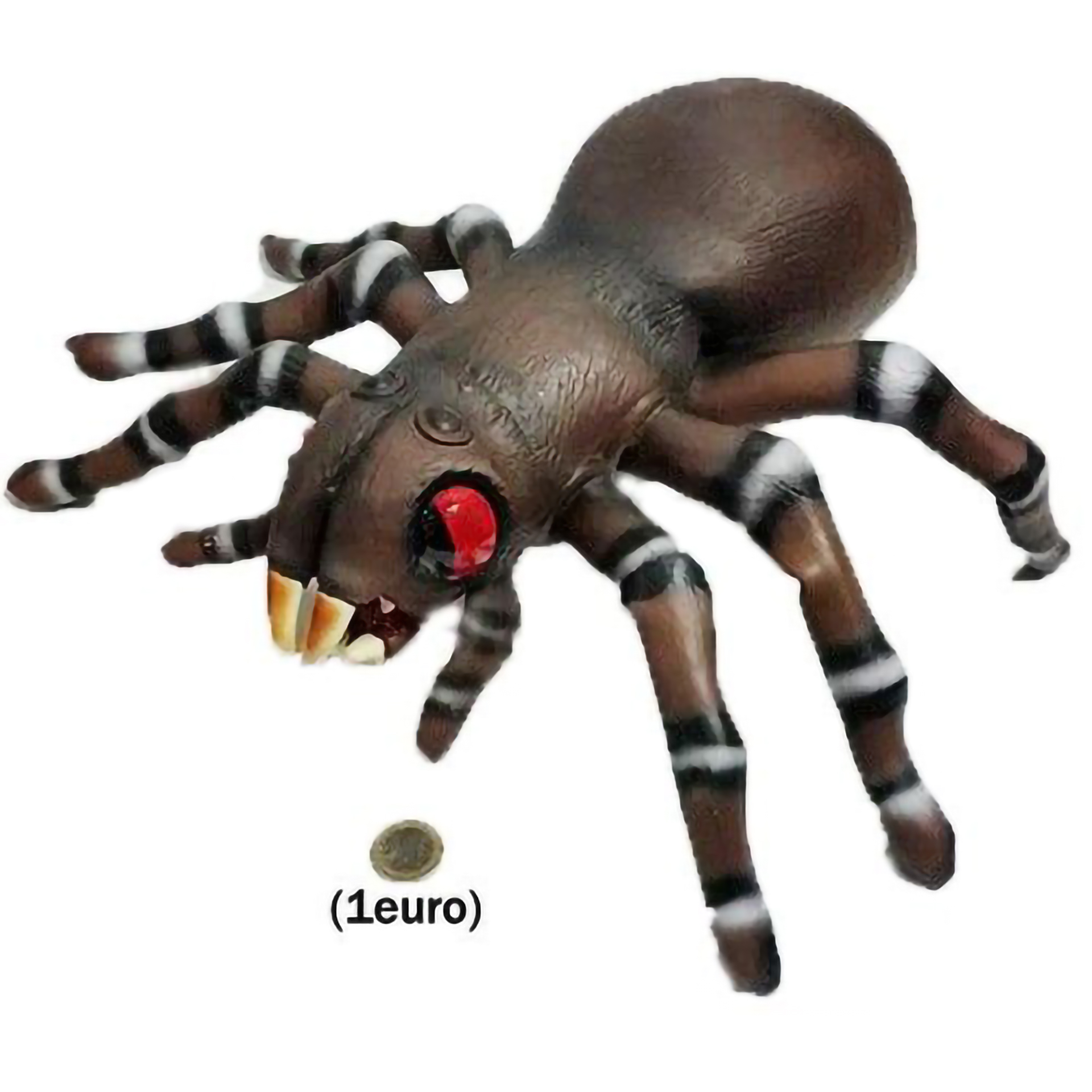 Tarântula Grande do Horror 36cm