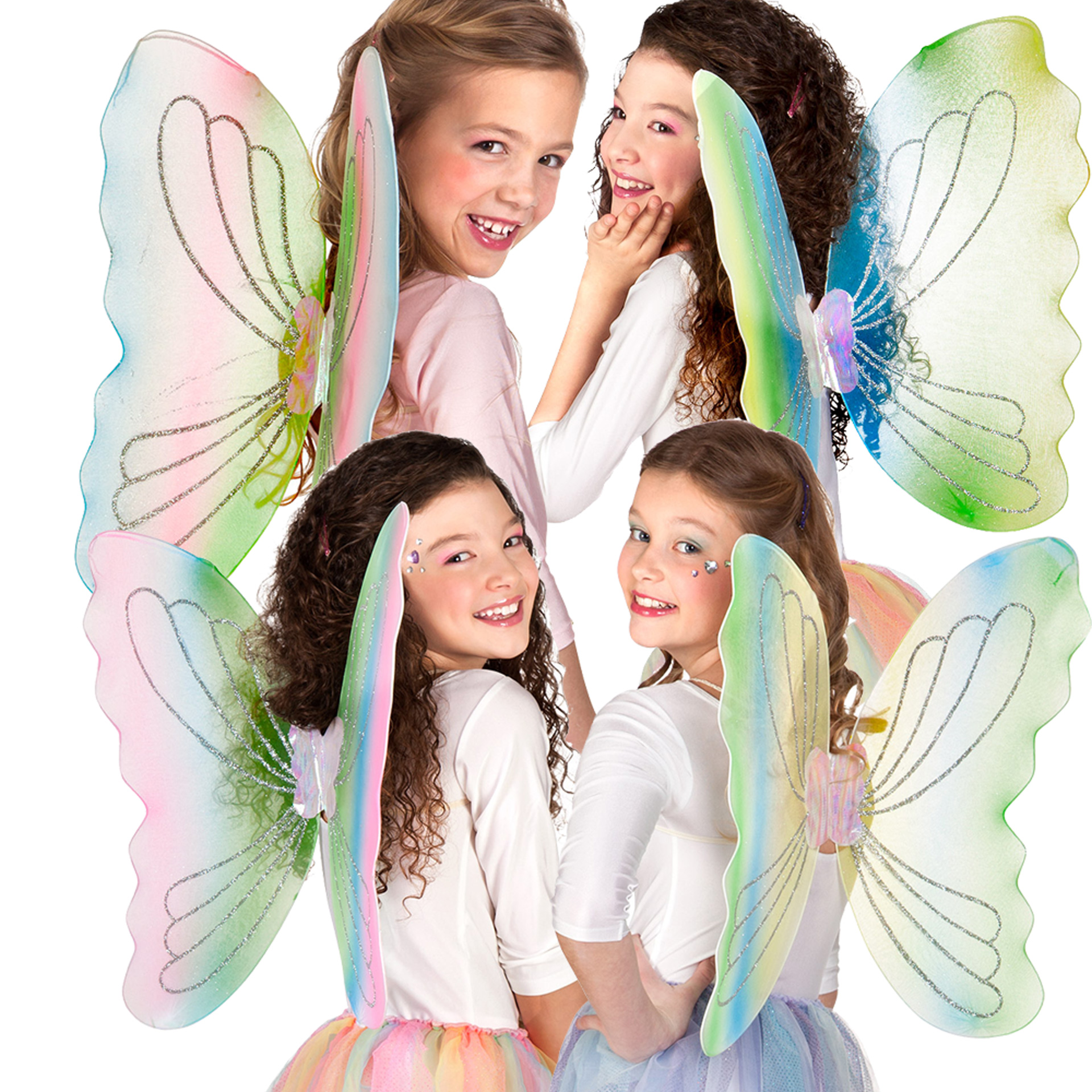 Asas de Borboleta colorida