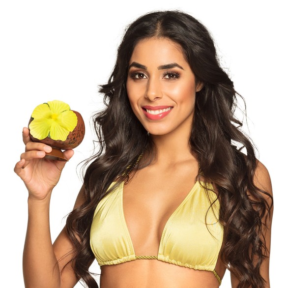 Copo Coconut Cocktail