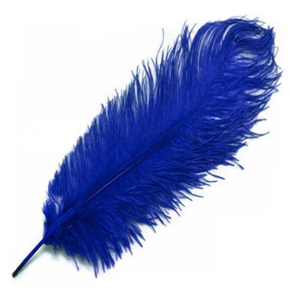 Pena Azul 50 cm