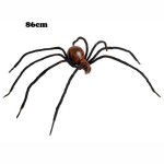 Aranha Sanguinria Gigante