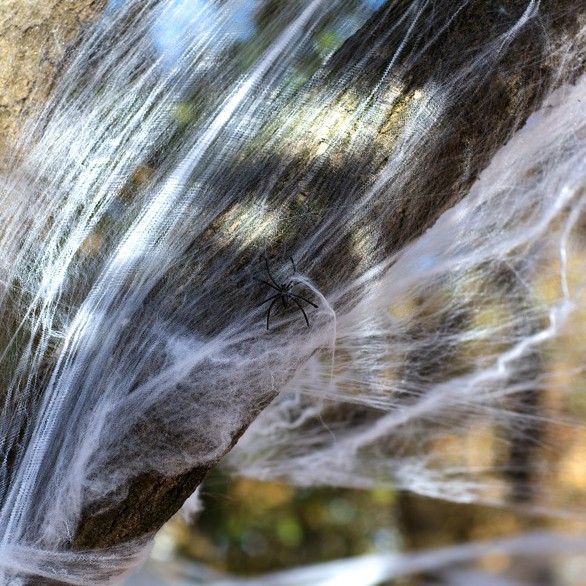 Decoração Teia com Aranhas 500g
