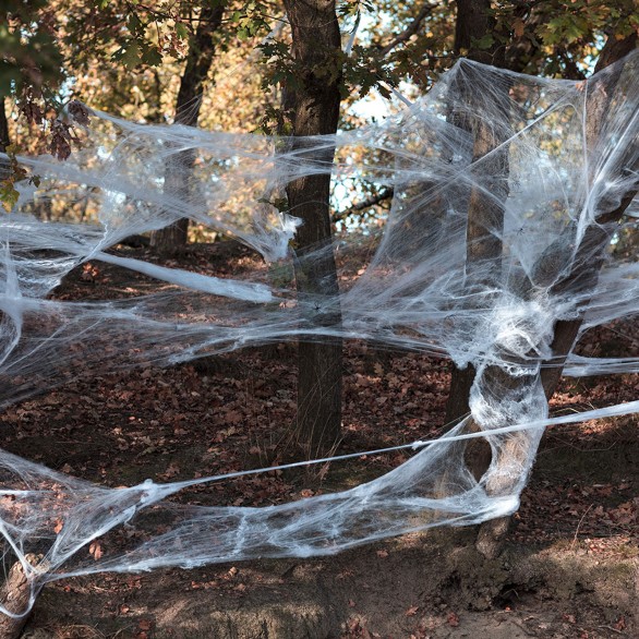 Decoração Teia com Aranhas 500g