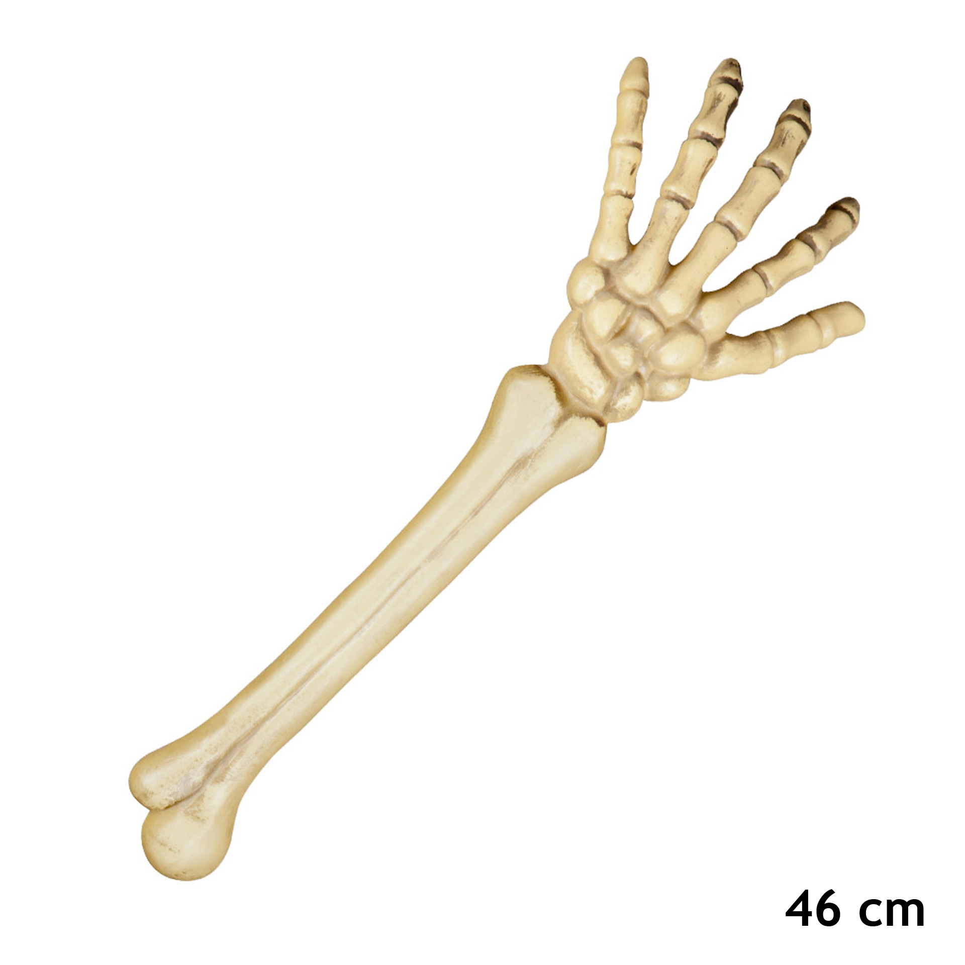 Braço de Esqueleto 46cm