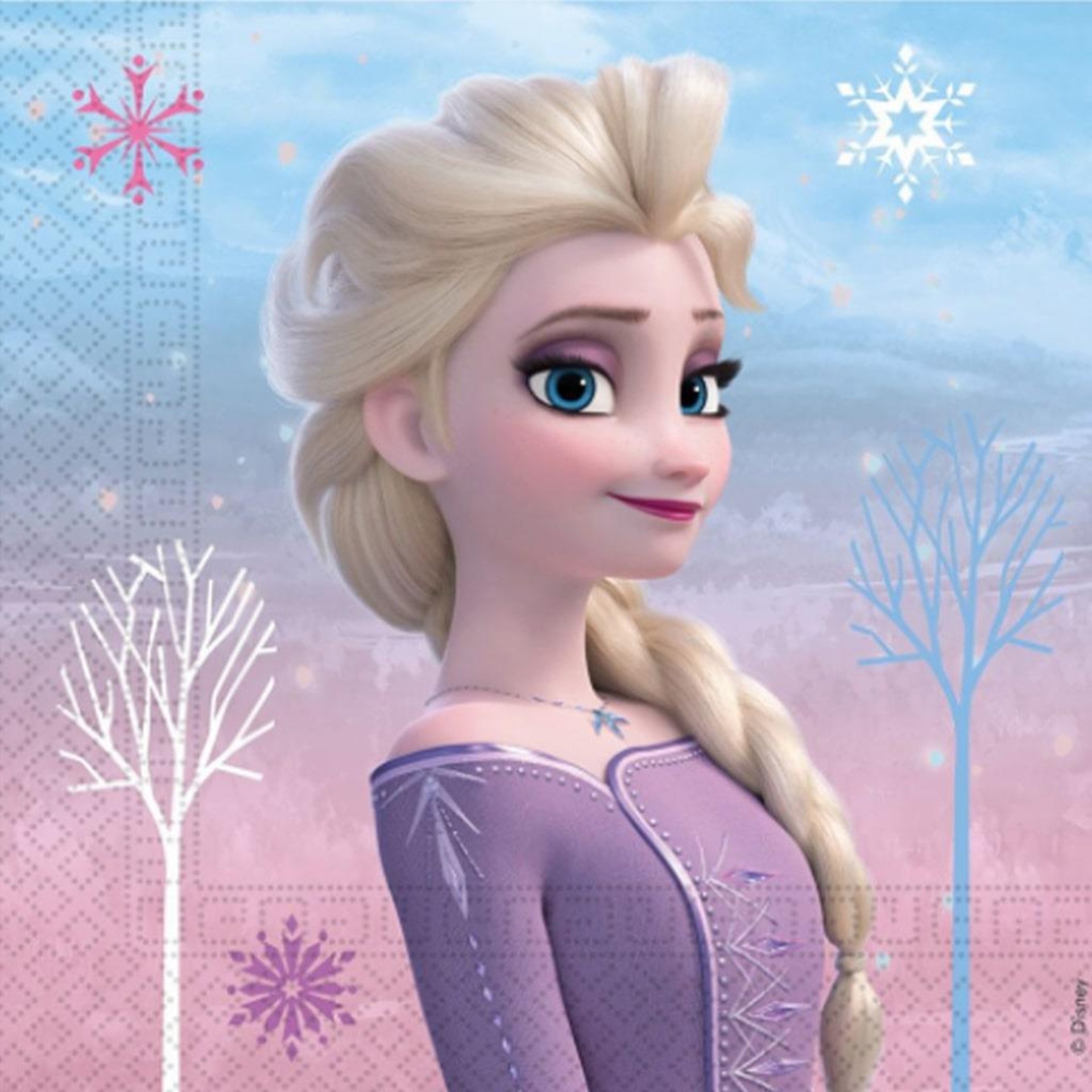 Guardanapos Frozen Wind Spirit