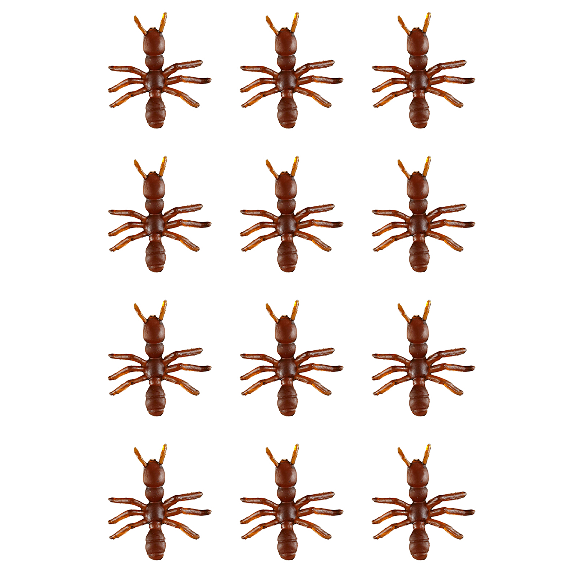 Formigas Castanhas Pack de 12