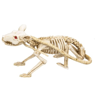 Esqueleto Rato 40CM