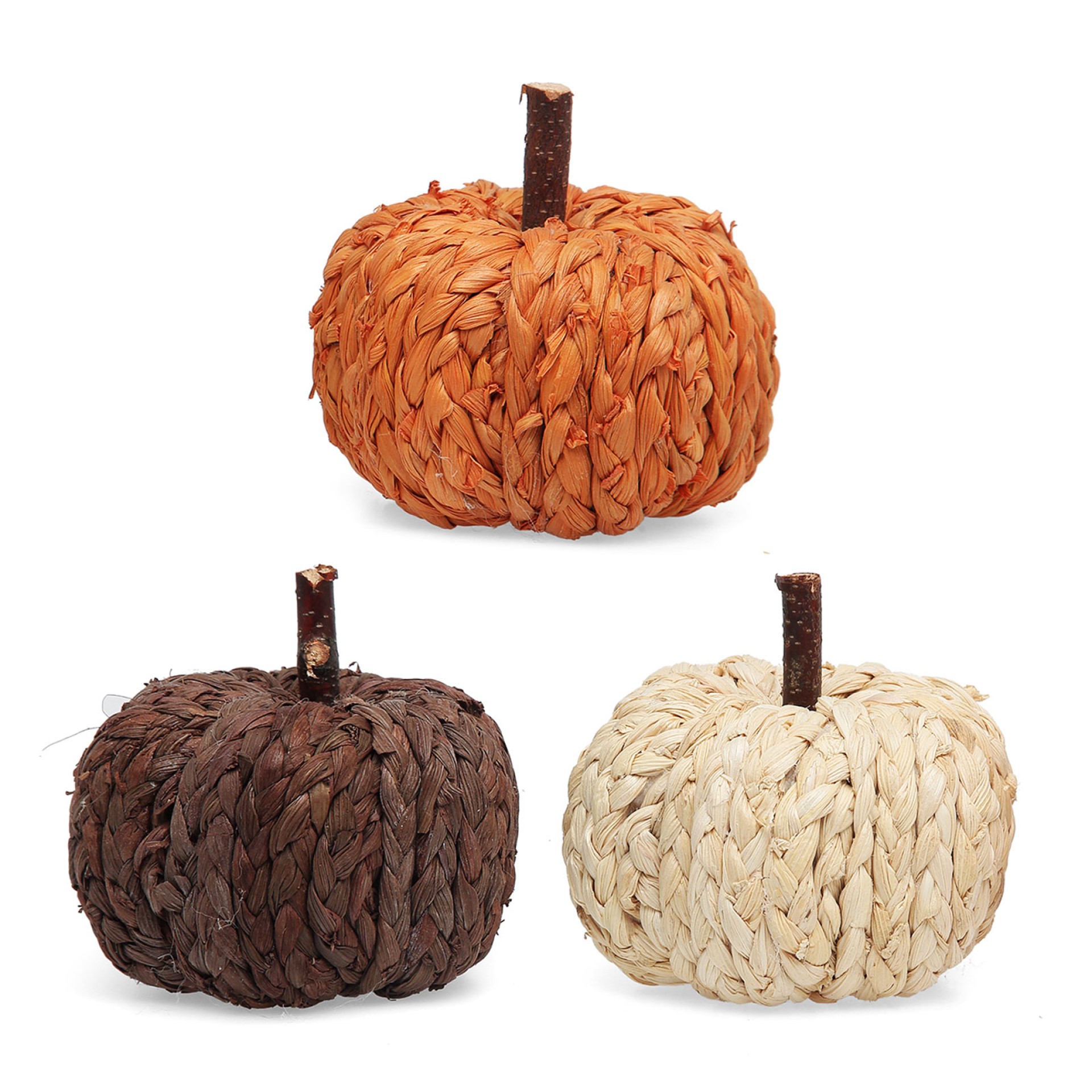 Pack 3 Abóboras de Outono