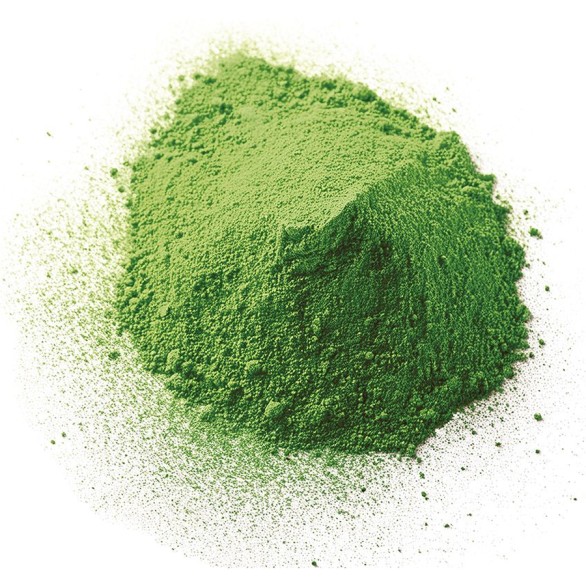 Canho P Holi Verde 20 a 30g