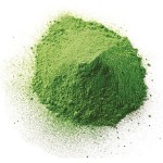 Canho P Holi Verde 20 a 30g