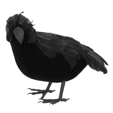 Corvo Negro 23cm